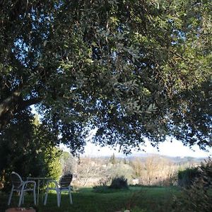 Agriturismo Fattoria Di Malavolta
